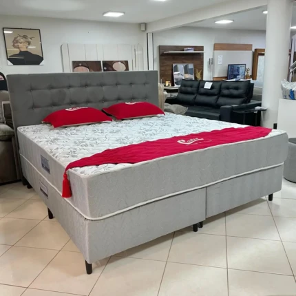 Conjunto Box Castor Expressive D33 25 altura